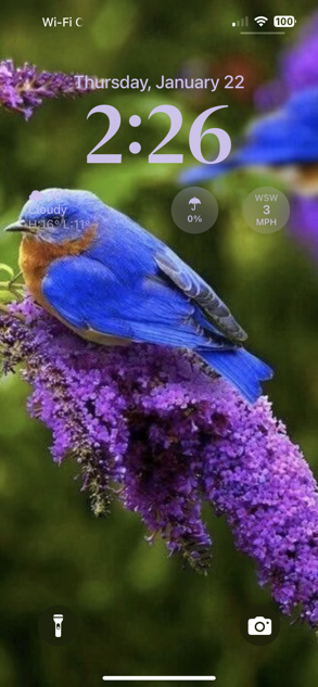 Screenshot of iPhone lock screen running iOS 18. Weather widget information is mostly unreadable due to low contrast with background image.