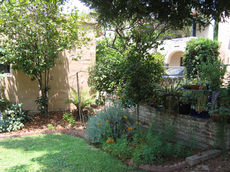 Many shade-loving plants on and near the brick patio wall, under the redwood canopy