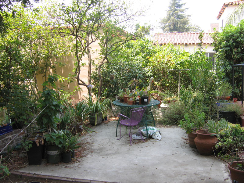 The white concrete patio is full of both potted plants and a ring of drip irrigated plants in the ground