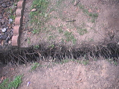 Northeast sprinkler pipe orientation